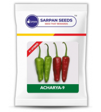 Chilli / Hot Pepper F1 Sarpan Acharya-9 30 grams
